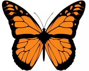 an example of transformation fitness mascot - a butterfly